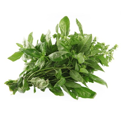 Basilic Genovese