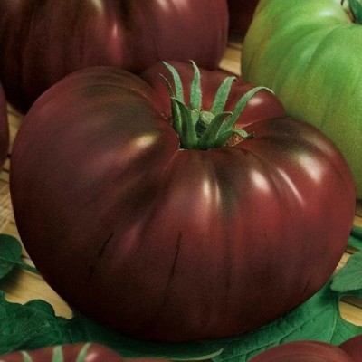 Tomate Russe Noire
