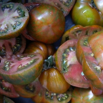Tomate Black Zebra