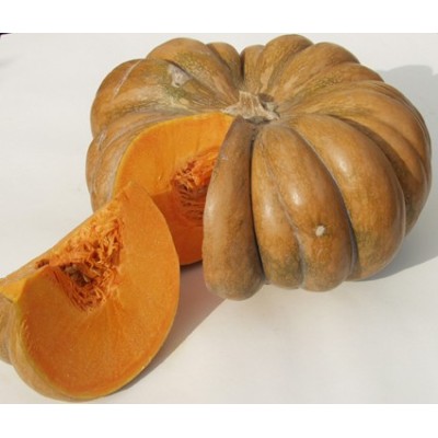 Semences Courges Musquée de Provence