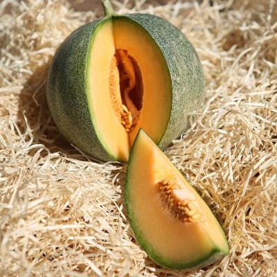 Melon Petit Gris de Rennes