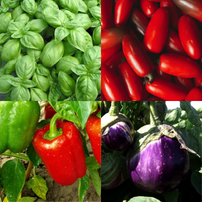Pack Saveurs Italiennes