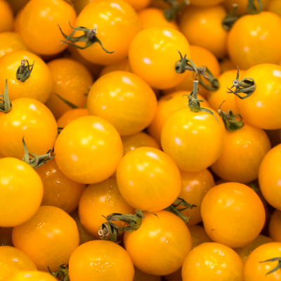 Semences Tomate cerise Cocktail Clémentine