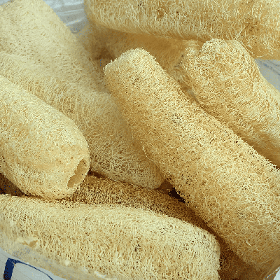 Semences Courges Luffa